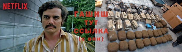 индика Богданович