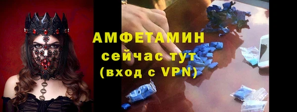 индика Богданович