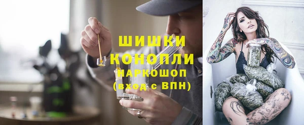 дмт Богородск
