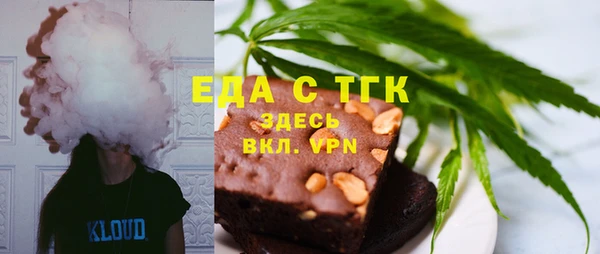 индика Богданович