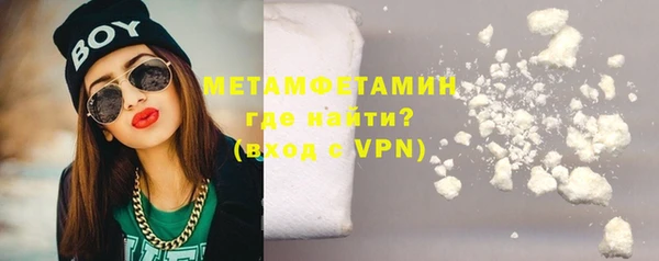 индика Богданович