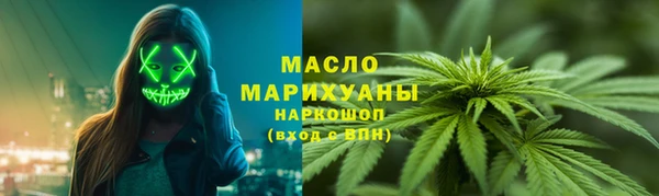 дмт Богородск