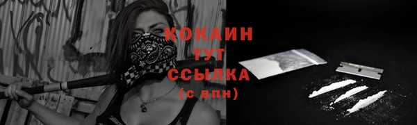 индика Богданович