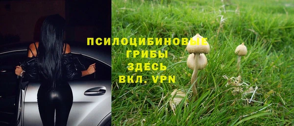 кокаин премиум Богородицк