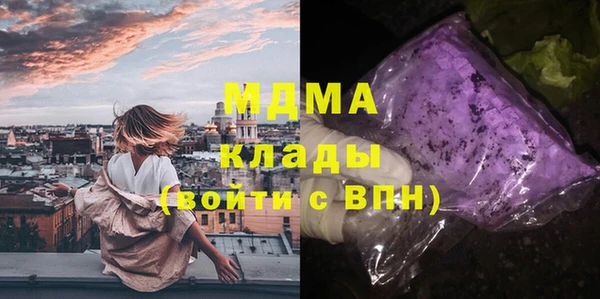 индика Богданович