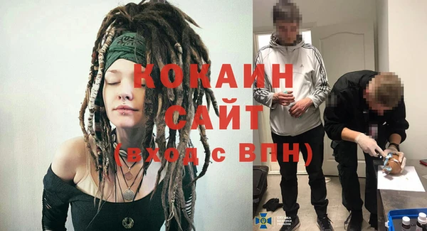 индика Богданович