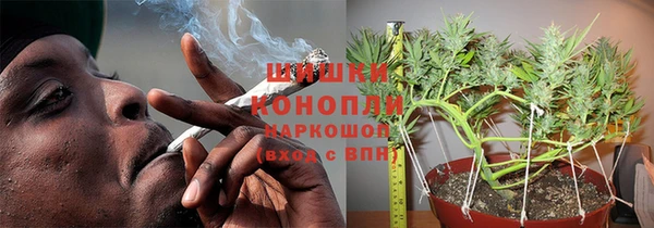 индика Богданович