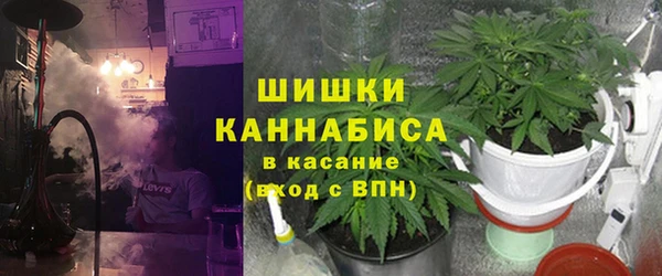 дмт Богородск