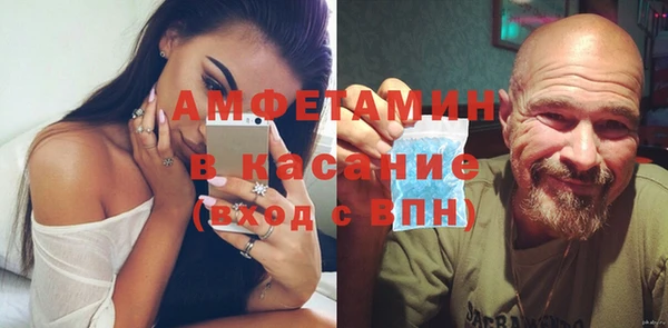 индика Богданович