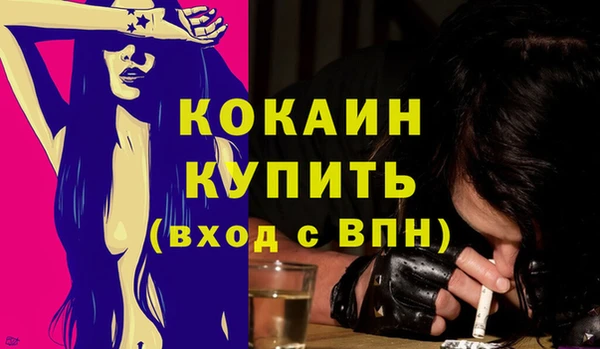 индика Богданович