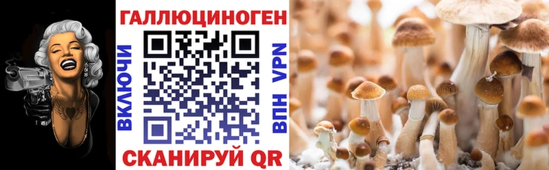 мега ТОР  Староминская  Псилоцибиновые грибы ЛСД  купить  